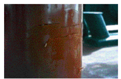 Screen Shot 2015-10-29 at 4.47.47 PM